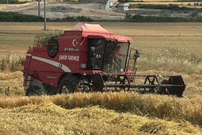 Edirne Keşan'da ilk arpa hasadı... Çiftçi fiyattan dertli