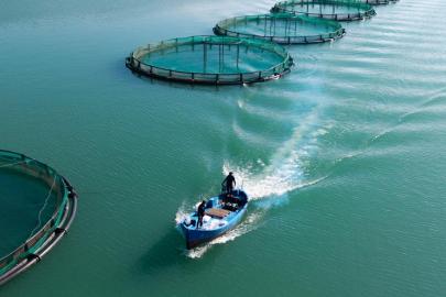 Et, süt ve su ürünleri tesislerine yeni destek