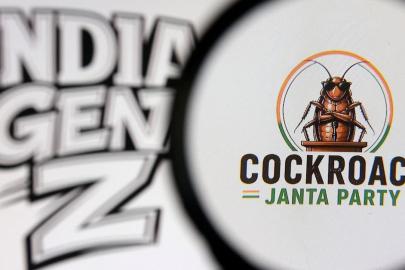 Hindistan'da 'Hamamböceği Partisi'nin popülaritesi artıyor