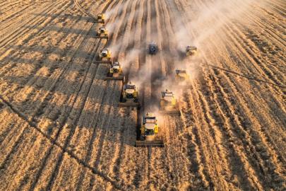 Tohumda ihracat rekoru: Yüzde 141 karşılama oranı
