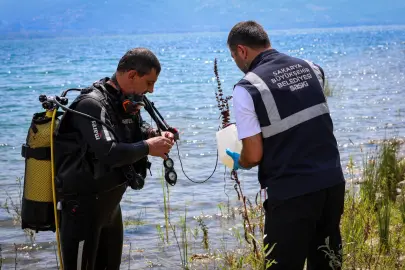 SASKİ’den Sapanca Gölü’ndeki alg oluşumuna açıklama: İçme suyu açısından risk yok