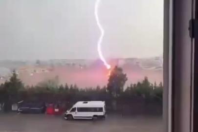 Tekirdağ'da palmiye ağacına yıldırım düştü, alev alev yandı